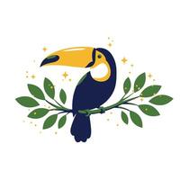 Toucan on branch logo design vector