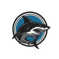 Shark logo design vector