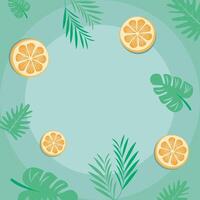 Refreshing orange slice leaf exotic summer background vector