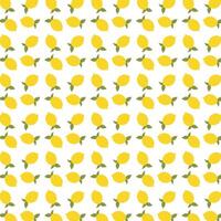 Yellow citrus lemons lime summer background vector