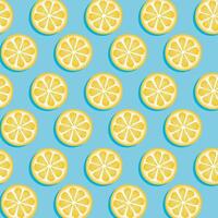 Yellow citrus lemon lime round slices summer background vector