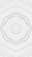 Minimalist black and white vertical geometric background. Repeating octagon shapes pattern. This sleek clean technical styled background is full HD and a seamless loop. video