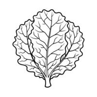 Lettuce Leaves Illustration for Vegan Recipes and Farm to Table Menus vector
