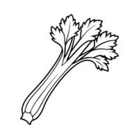 Celery stalk illustration Fresh vegetable graphic for cookbook recipe website or healthy food blog vector