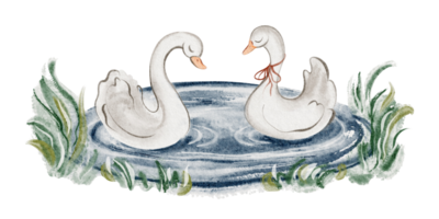 Watercolor illustration of a pair of swans floating on a serene pond png