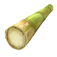 uma fechar acima Visão do uma segmentado cana de açúcar perseguir png