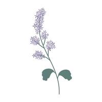 Colorful flower and leave on a white background. Spring and Summer Season. vector