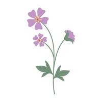 Various colorful flower with green leaves on a white background. Spring and Summer Season. vector