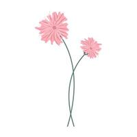 Simple colorful flower and leaves on a white background. Spring and Summer Season. vector