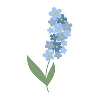 Simple and colorful flower illustrations with green stem and leaves on white background. Spring and Summer Season. vector