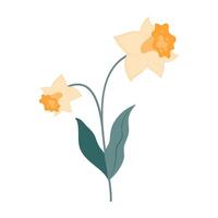Simple and colorful flower illustration with green stem and leaves on white background. Spring and Summer Season. vector