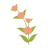 Various colorful flowers with green leave on a white background. Spring and Summer vector