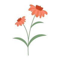 Cute and colorful simple flowers with green leaves. Spring and Summer Season. vector