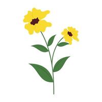 Various flower with green leaves on a white background. Spring and Summer Season. vector