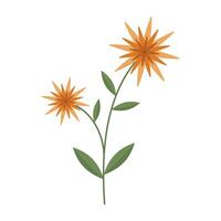 Simple and colorful flower illustration with green stem and leave on white background. Spring and Summer Season. vector