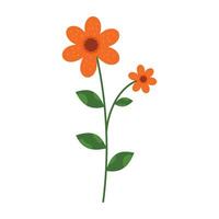 Simple and colorful flower illustration with green stems and leaves on white background. Spring and Summer Season vector