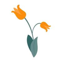 Simple and colorful flower illustration with green stems and leaves on white background. Spring and Summer Season. vector