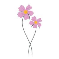 Various colorful flowers with green leaves on a white background. Spring and Summer vector