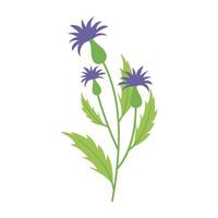 Various colorful flowers with green leave on a white background. Spring and Summer Season. vector