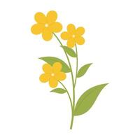 Various colorful flower with green leaves on a white background. Spring and Summer Season vector