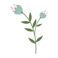 Simple and colorful flower illustrations with green stems and leave on white background. Spring and Summer Season. vector