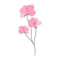 Delicate colorful flower with green leave on a clean white background. Spring and Summer Season. vector