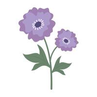 Various colorful flowers with green leaves on a white background. Spring and Summer Season vector