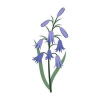 Colorful flowers and leave on a white background. Spring and Summer Season. vector