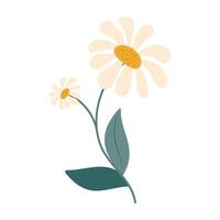 Cute colorful simple flowers with green leaves on a white background. Spring and Summer Season. vector