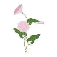 Various colorful flowers with green leave on a white background. Spring and Summer Season vector