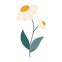 Simple and colorful flower illustrations with green stems and leaves on white background. Spring and Summer Season vector
