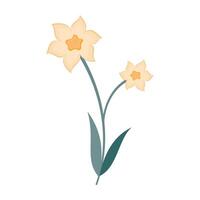 Simple colorful flower illustrations with green stems and leaves on white background. Spring and Summer Season. vector