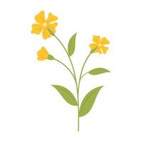 Simple colorful flowers and leave on a white background. Spring and Summer Season. vector