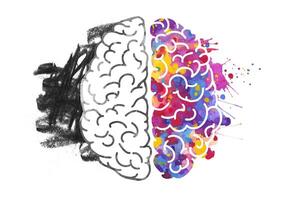 Conceptual Illustration of the Human Brain Depicting the Contrast Between Logical and Creative Thinking with One Side in Monochrome and the Other Vibrantly Colored vector