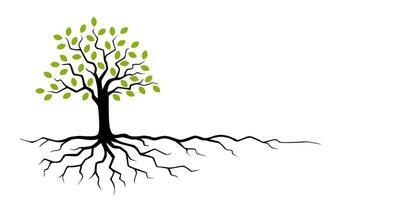 Stylized Tree with Roots and Green Leaves vector