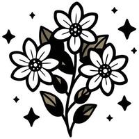 White Flowers Bouquet with Black Outline and Stars on a Transparent Background Design vector