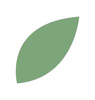 Stylized green leaves create a modern, flat representation. A simple depiction of nature reflects freshness and tranquility. This botanical concept serves versatile purposes, suitable for design and vector