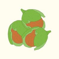 Walnut fruit flat design cartoon icon illustration vector