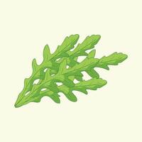 Argula leaves vegetables flat design cartoon illustration vector