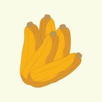 Banana squash vegetables flat design cartoon illustration vector