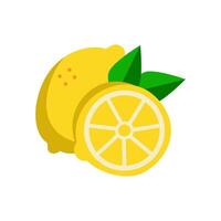 Lemon fruit isolated on white background. vector