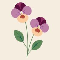 Delicate pansy flowers illustration purple and peach floral design elements vector