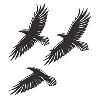 Three raven silhouettes flying with open wings on white background graphic illustration vector