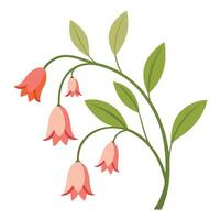 Elegant pink flowers with green leaves on a delicate branch illustration vector
