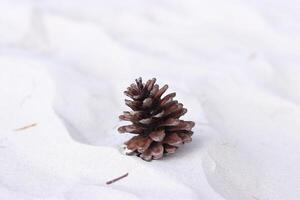 Pine cone sits calmly on white surface, exuding warmth of nature photo