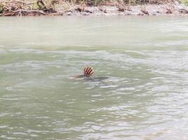 river water with one's hands. concept of people in river photo