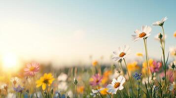 Vibrant wildflowers blooming in a sunlit meadow at sunset. photo