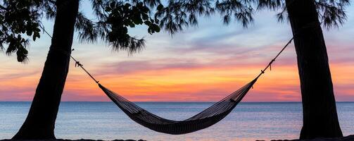 A hammock between trees at sunset over a tranquil sea. photo