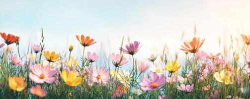Colorful wildflowers swaying in a gentle breeze under a blue sky. photo