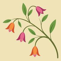 Stylized floral branch illustration with orange and pink bell shaped flowers vector